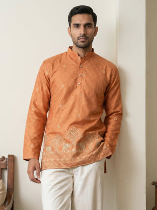 Premium Printed & Thread Work Kurta