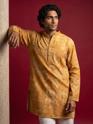 Printed Cotton Blend Kurta for Men