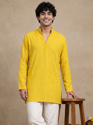 Rayon Embroidered Short Kurta
