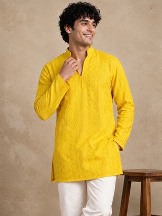 Rayon Embroidered Short Kurta