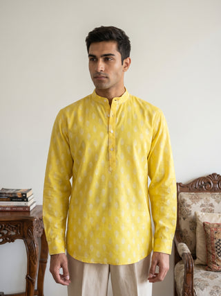 Cotton Blend Traditional Printed Short Kurta