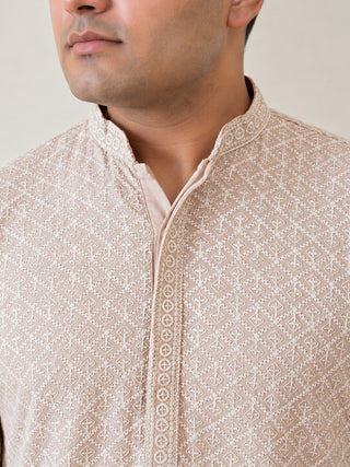 Sequin Embroidered Pure Cotton Kurta