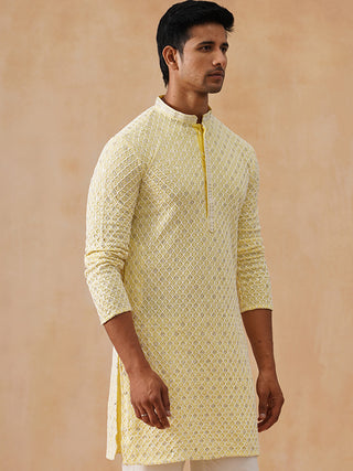 Men's Chikankari Embroidered and Sequence Kurtas
