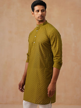 Chikankari Pure Cotton Kurtas