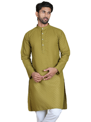 Chikankari Pure Cotton Kurtas