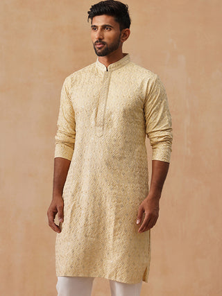 Men’s Festive Kurta with Intricate Embroidery